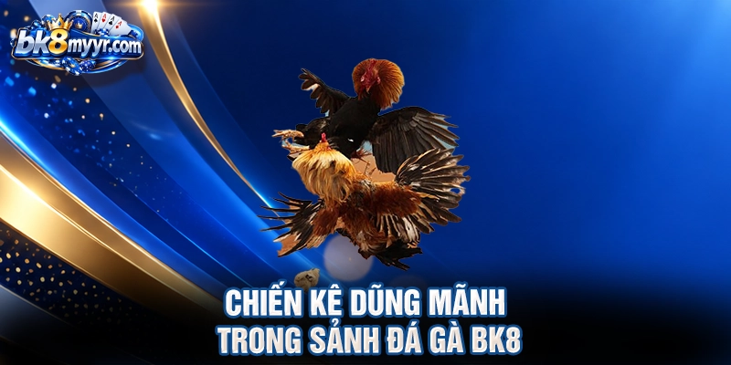 Chiến kê dũng mãnh trong sảnh đá gà BK8