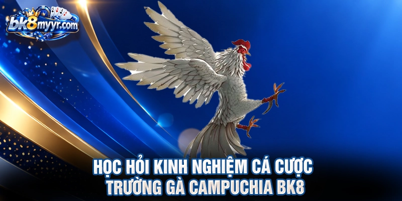 Học hỏi kinh nghiệm cá cược trường gà campuchia BK8