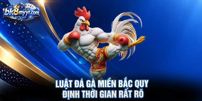 Luật đá gà Miền Bắc quy định thời gian rất rõ