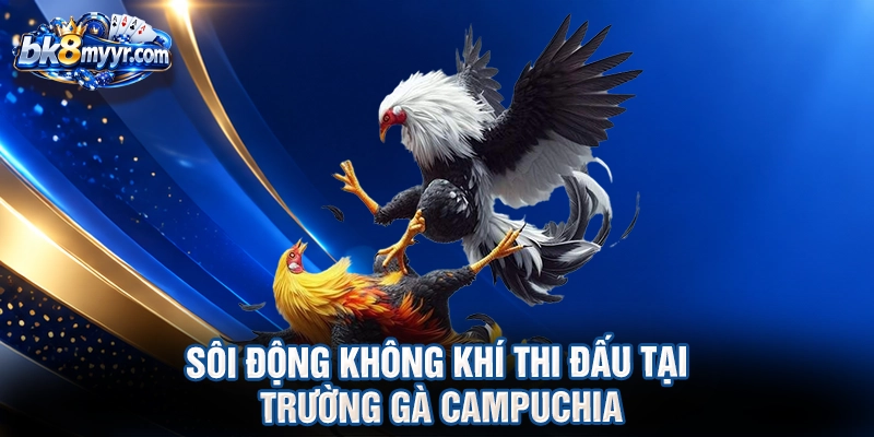 Sôi động không khí thi đấu tại trường gà campuchia