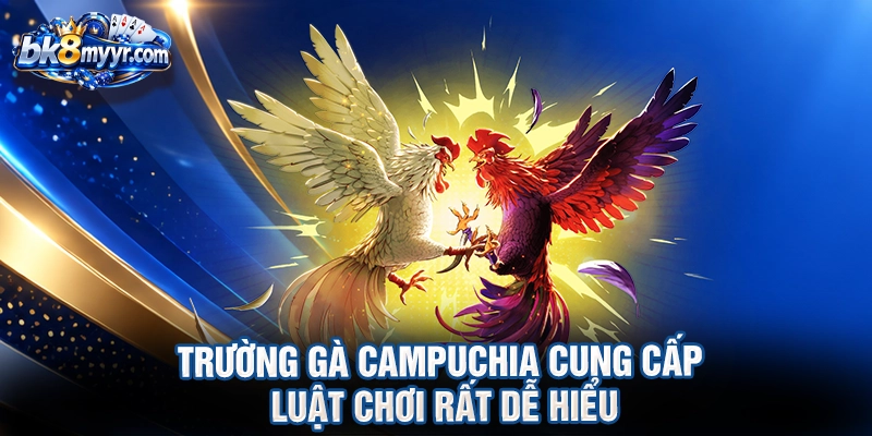 Trường gà campuchia cung cấp luật chơi rất dễ hiểu