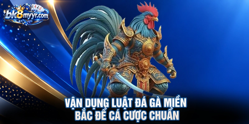 Vận dụng luật đá gà Miền Bắc để cá cược chuẩn